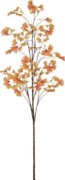 Immagine prodotto Gasper Gingkozweig, Orange (190 cm)