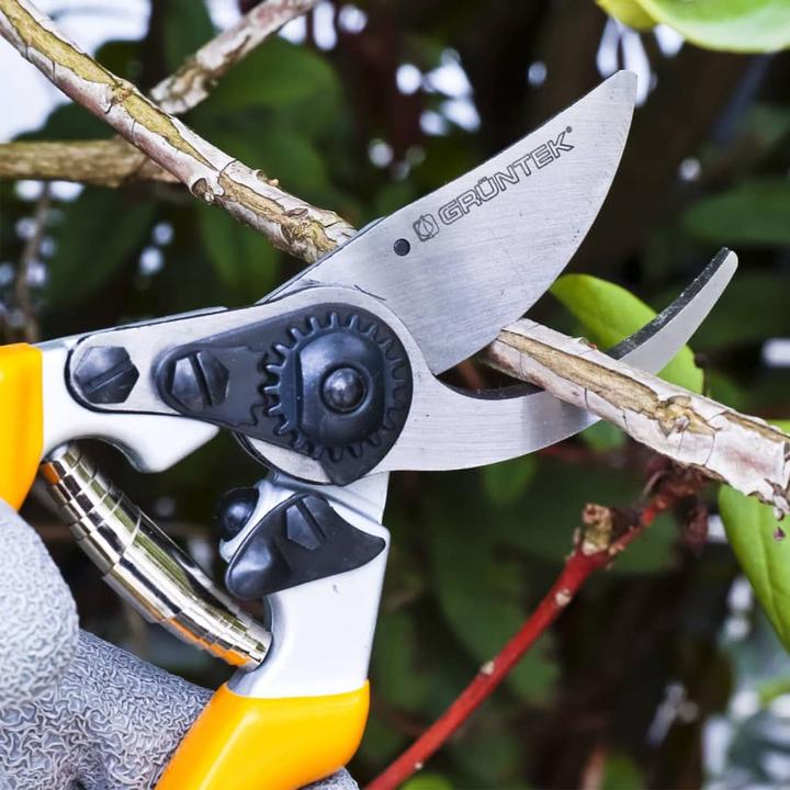 Image du produit Grüntek Mechelle