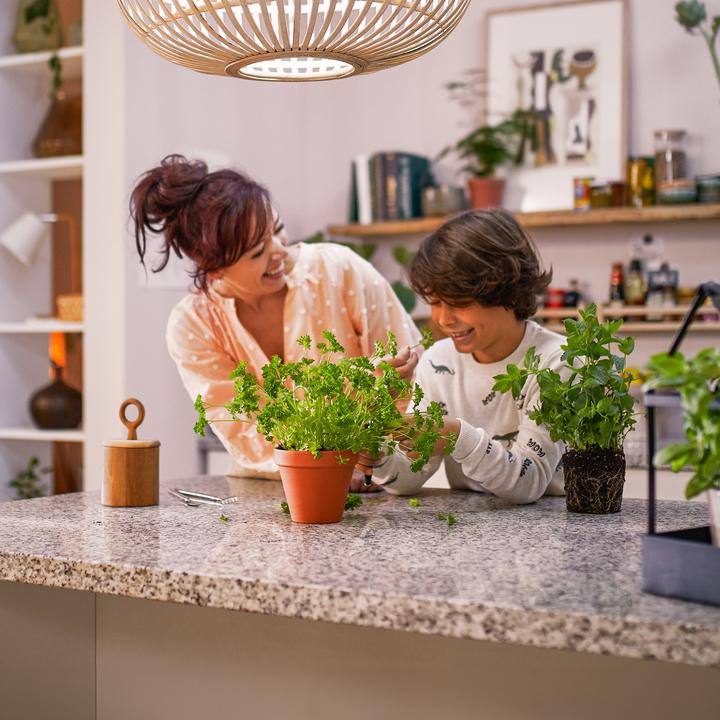 Immagine prodotto Philips Pebblo Ultra (1850 lm)