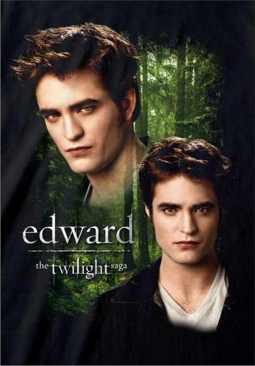 Produktbild Twilight TShirt (L)