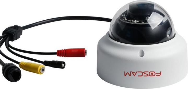 Actual product image Foscam D2EP (1920 x 1080 Pixels)