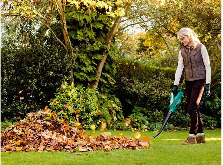 Actual product image Bosch Home & Garden Alb 18 Li (Rechargeable battery operated, Leaf vacuums)