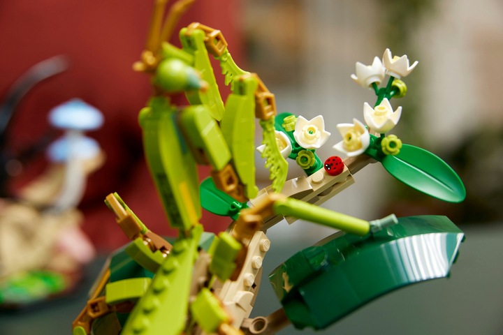 Actual product image LEGO Ideas The insect collection (21342, LEGO Ideas)