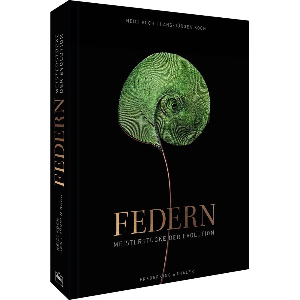 Federn, Ratgeber von Heidi Koch, Hans-Jörn Koch