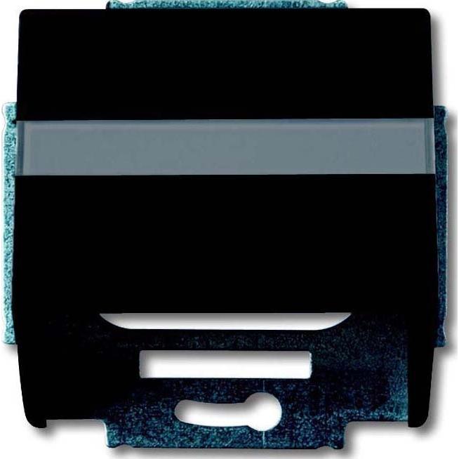 Busch-Jaeger, Programma di commutazione degli accessori, Disco centrale con anello di supporto 2CKA001724A4299