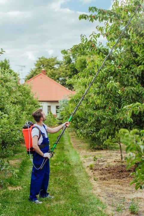 Productafbeelding Kwazar Telescopische lans