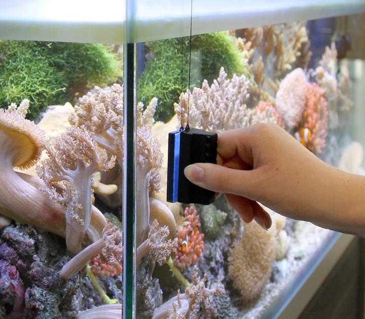 Produktbild Marina Algenmagnetreiniger (Aquarium Reinigung, Schwamm)