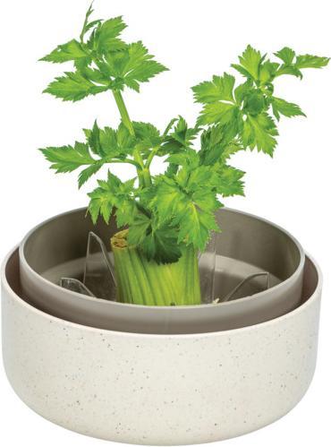 Actual product image Plastia Keimsprosskit Urbalive für Microgreens (16 x 7.70 cm)