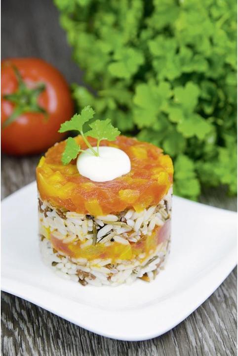 Actual product image Schneider Appetizer and dessert mold with ejector, round