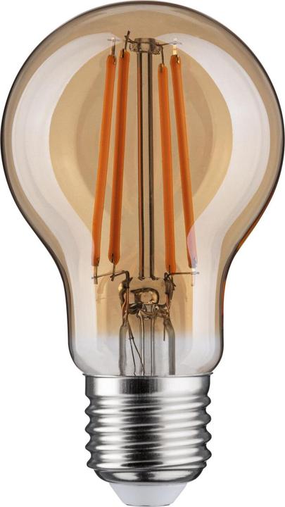 Paulmann Lampe LED à lumière dorée (E27, 6 W, 470 lm, 1 x, G)