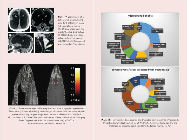 Actual product image The Neuroscience of Psychedelics (English, Genís Ona, José Carlos Bouso, 2024)