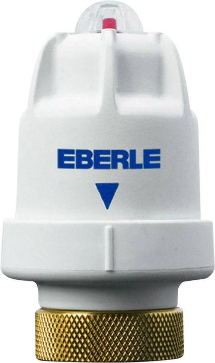 Actual product image Eberle Controls Actuator