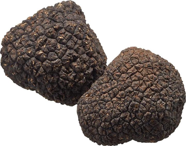 Immagine prodotto GEFU tartufolo