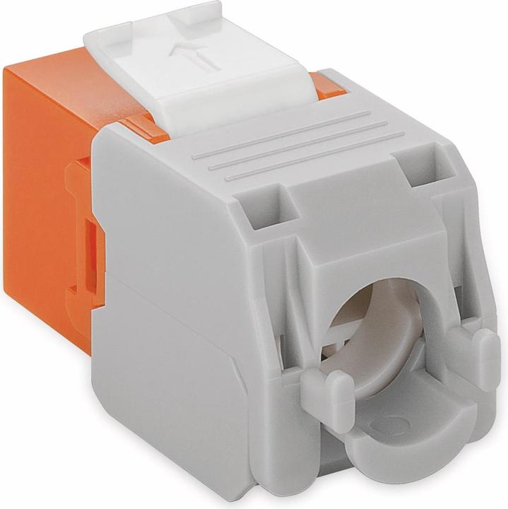 Image du produit Goobay CAT 6a KeyStone RJ45 Jack,non blindé, 500MHz, orange-blanc (Module Keystone)