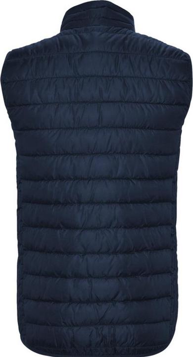 Actual product image Alpinia Childrens/Kids Oslo Insulated Body Warmer (152)