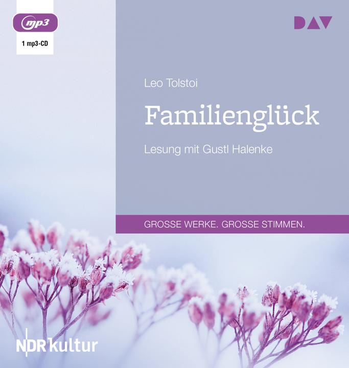 Produktbild Familienglück (Leo N. Tolstoi, Deutsch)