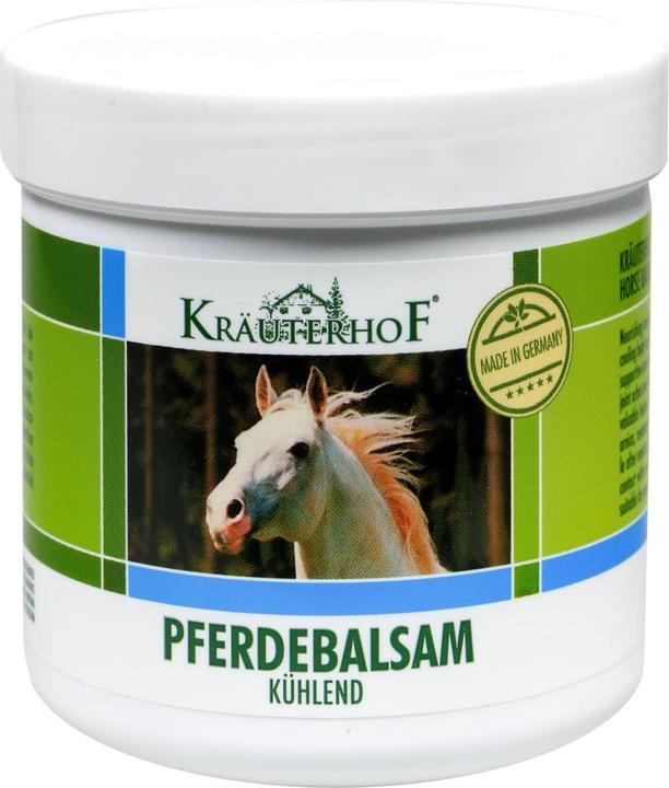 Axisis Baume pour chevaux (Gel pour le corps, 250 ml)