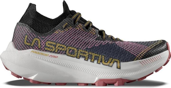 B46P13-Cielo notturno, Rosebay