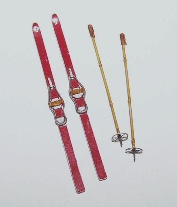 Produktbild Plus Model Skis