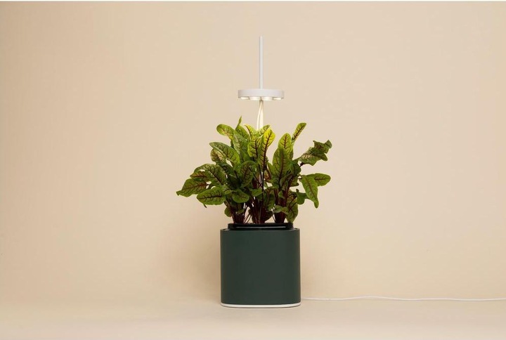 Image du produit Prêt à Pousser Pot à herbes Nano, Forest Green (13.50 cm)