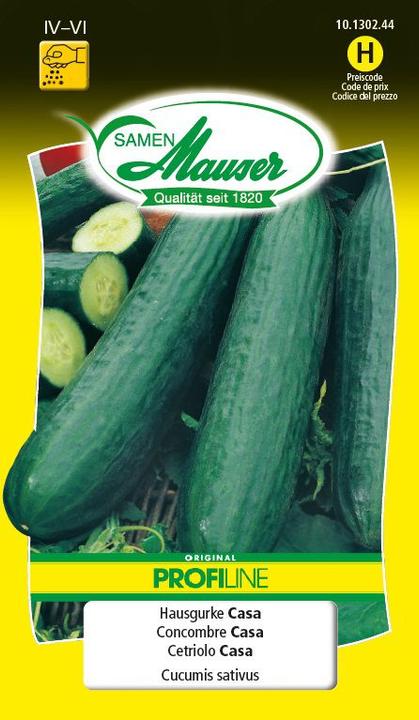 Actual product image Samen Mauser House cucumber Casa Profiline (Vegetable seeds)