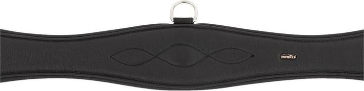 Produktbild Premiere Sattelgurt