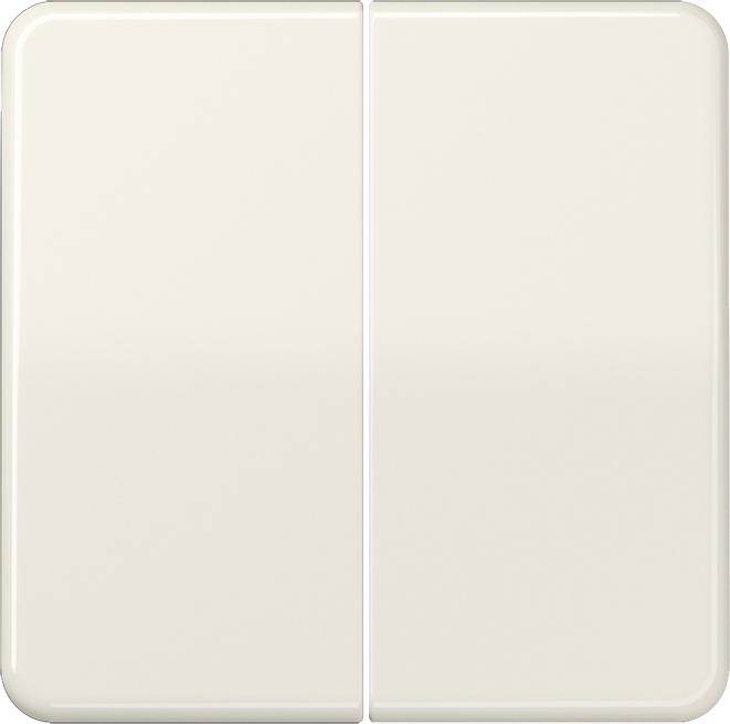 Actual product image JUNG Rocker 2t switch CD ws glz CD102