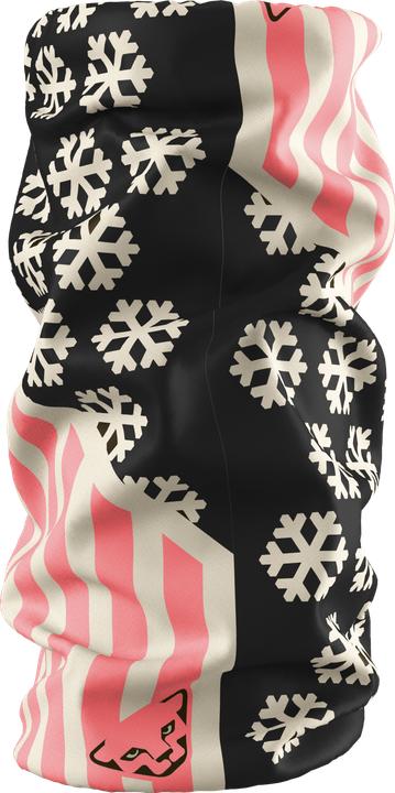 Produktbild Dynafit Graphic Neck Halstuch