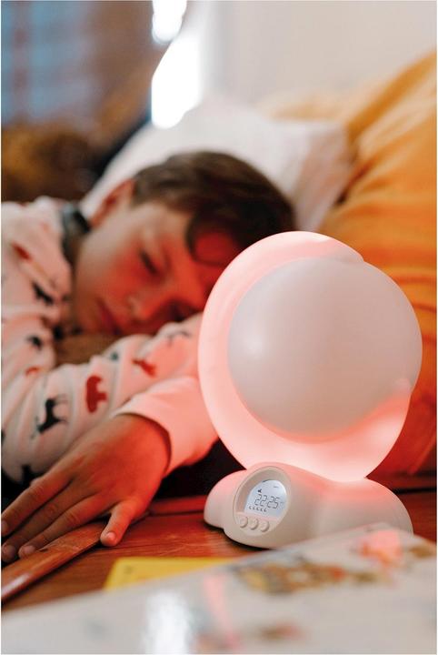 Image du produit Kidywolf Animo Mondo