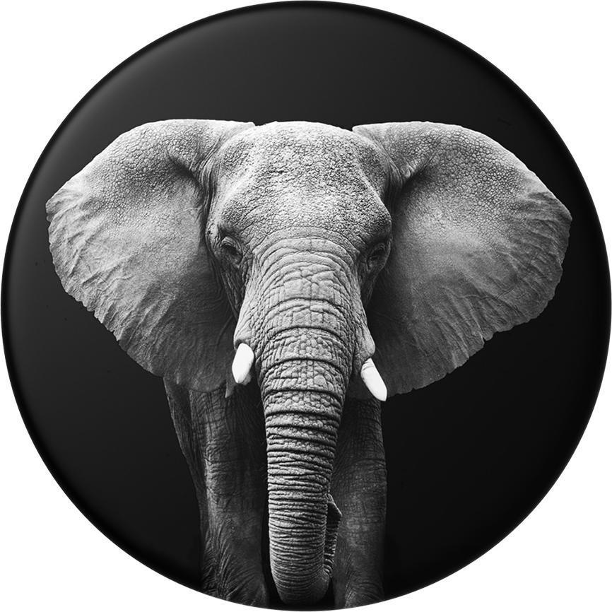 Thumbnail - PopSockets PG Loxodonta Africana (2. Gen, austauschbar), Smartphone Halterung, Mehrfarbig