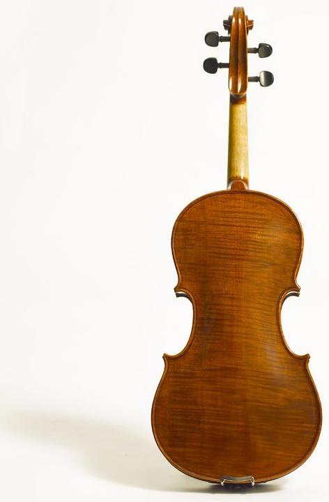 Immagine prodotto Stentor Elysia (Viola, 3/4)