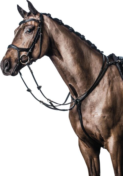 Produktbild Horse Guard Plastron aus weichem Leder