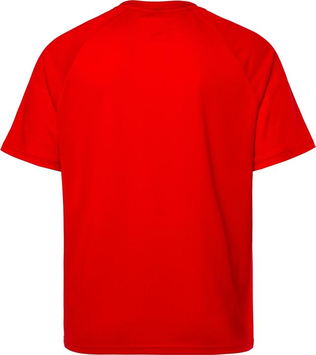 Immagine prodotto Jay-Pi T-shirt per il fitness con FLEXNAMIC®, stampa sul retro, mezze maniche e tecnologia QuickDry (XXL)