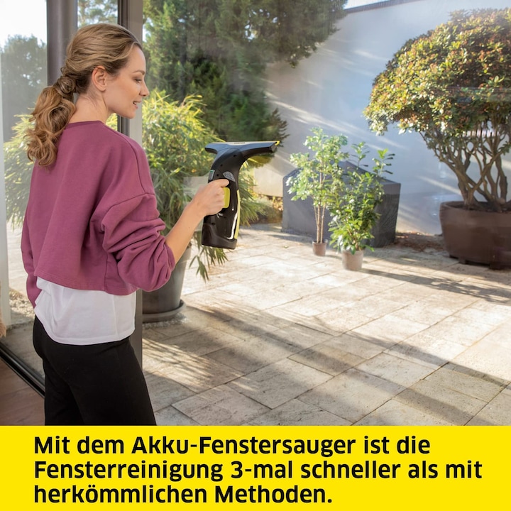 Actual product image Kärcher Wv 2