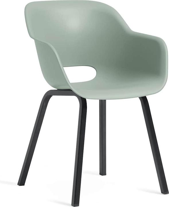 Produktbild Keter Dianthus Barbatus