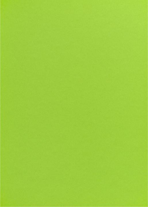 Produktbild Fotokarton 50X70 Grasgrün (270 g/m², 1 x)