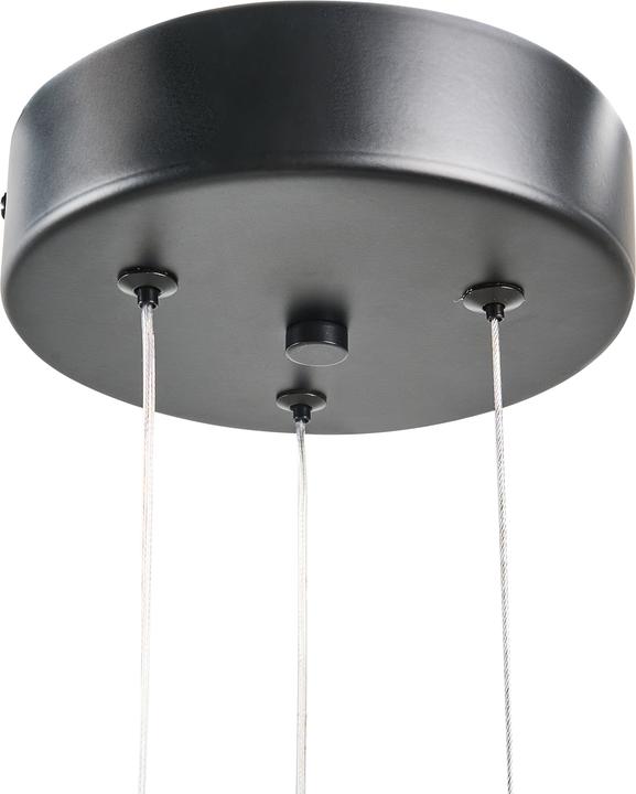 Produktbild Beliani Palun (310 lm)