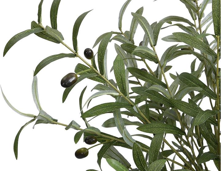 Immagine prodotto Ozaia Huesca (120 cm)