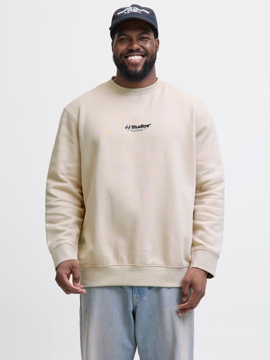 Actual product image Jack & Jones Plus Size Gedruckt Sweatshirt Sweatshirt (4XL)