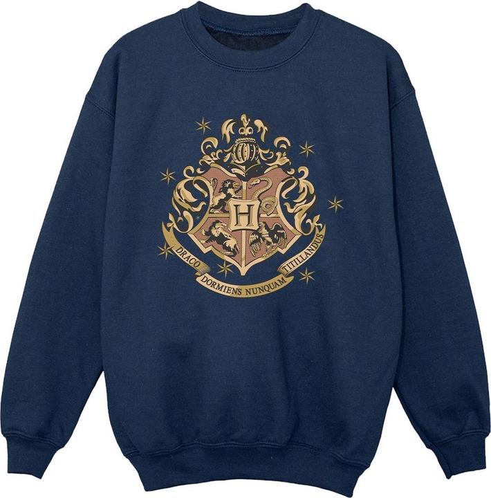 Produktbild Gold Hogwart Crest Sweatshirt Jungen (152, 158)