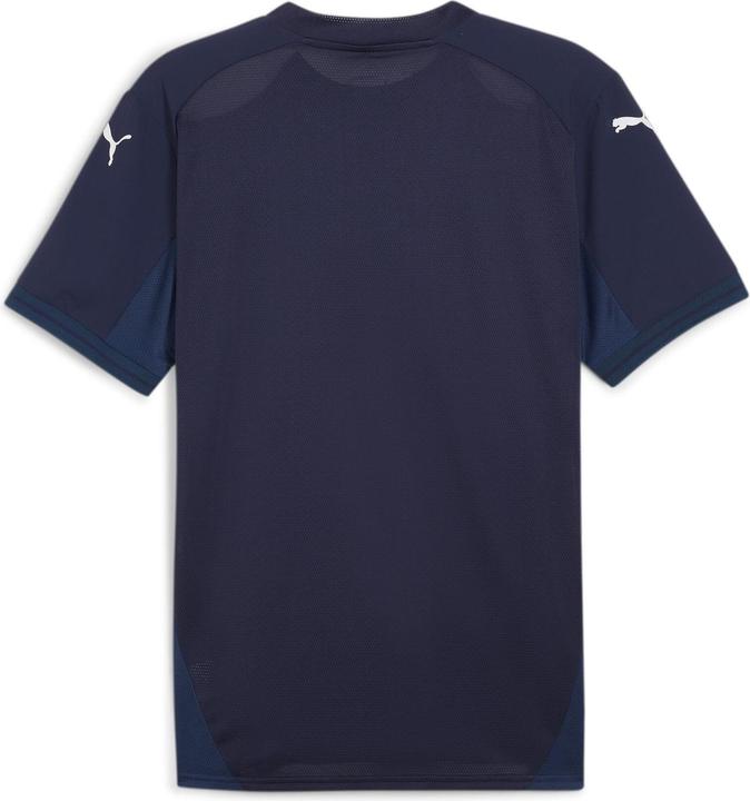 pumanavypumawhitepersianblue
