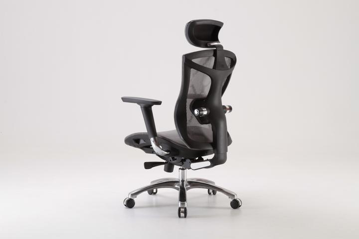 Immagine prodotto Sihoo V1 Ergonomic Office Chair, gray
