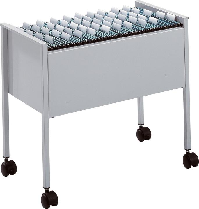 Durable Chariot pour dossiers suspendus Economy (65.50 x 36.80 x 59.20 cm)