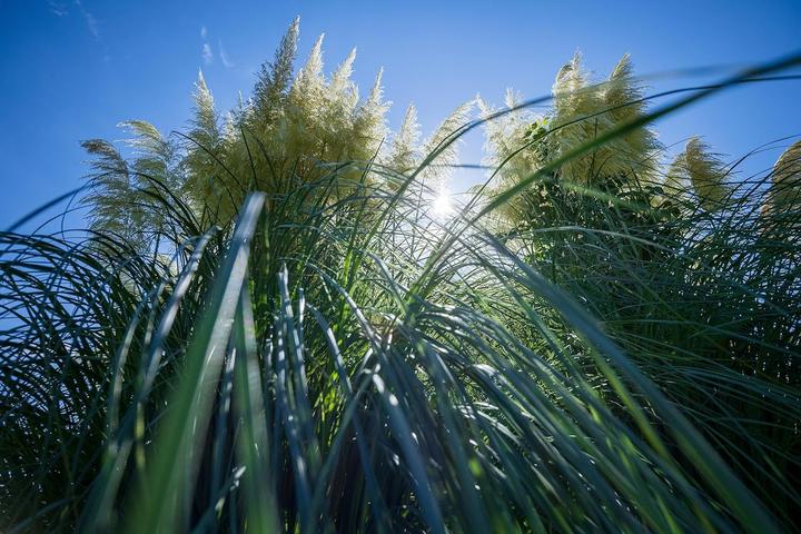 Produktbild Tamron 11-20mm F/2.8 Di III-A RXD (Canon RF, APS-C / DX)