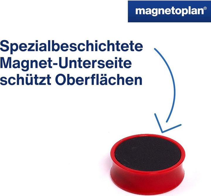 Image du produit Magnetoplan Aimant Ergo (1x)