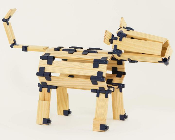 Actual product image Kapla TomTecT