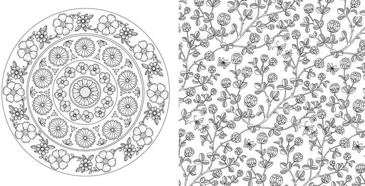 Produktbild Wundervolle Wildblumen