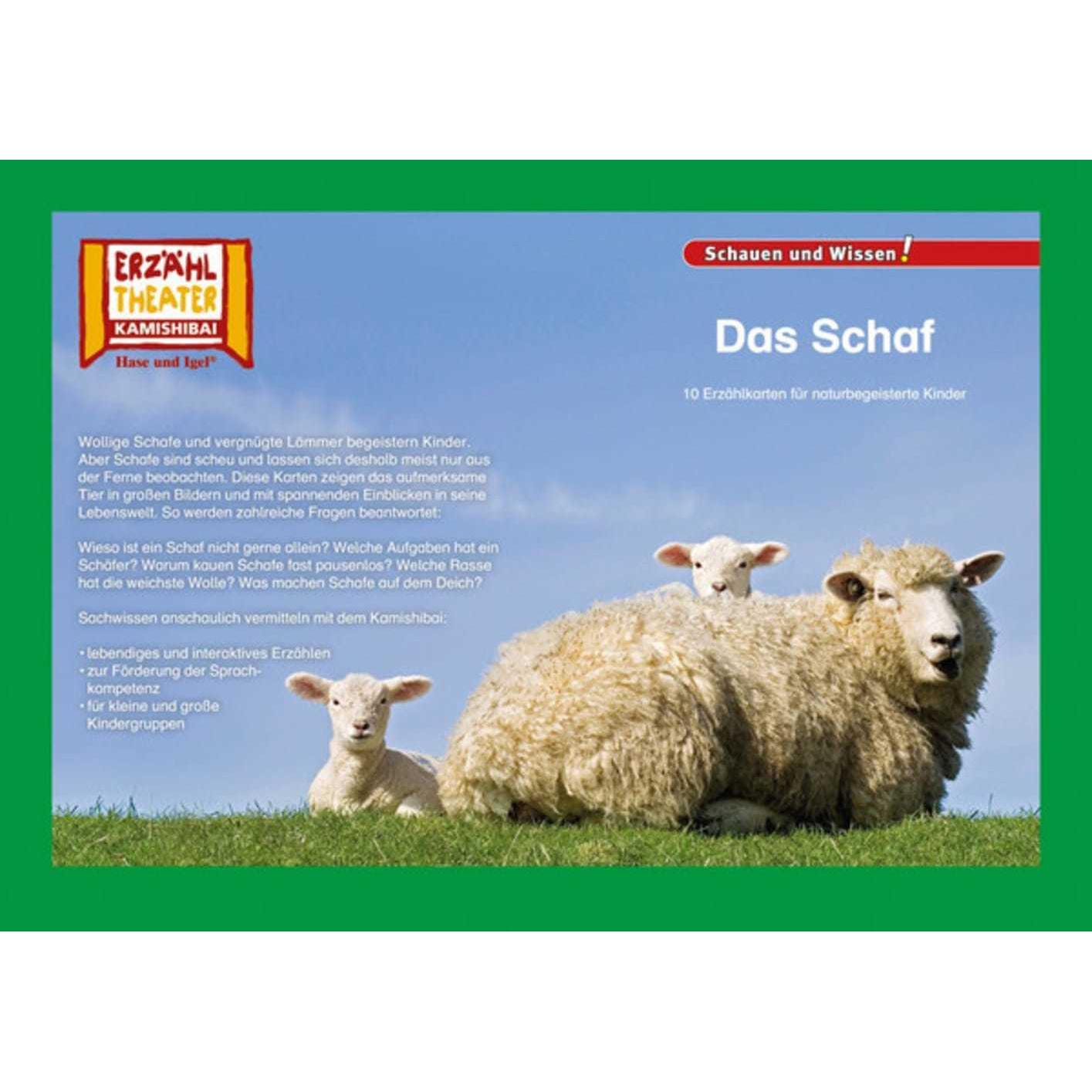 Kamishibai: Das Schaf, Schulbücher