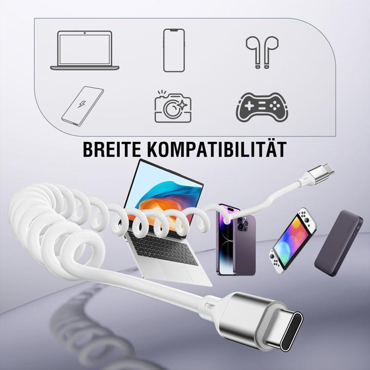 Produktbild 4smarts 541600 (0.50 m, 100 W)