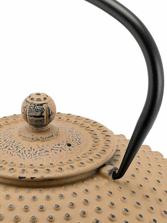 Actual product image Bredemeijer Teekanne Xilin 1.25 l (1.25 l)